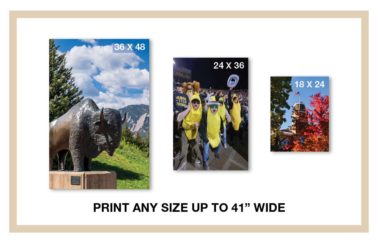 Order Posters